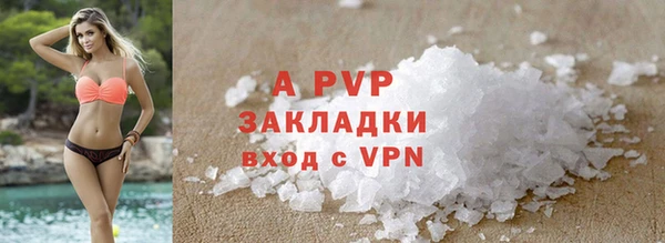 гашик Белокуриха