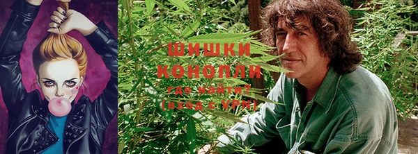 гашик Белокуриха