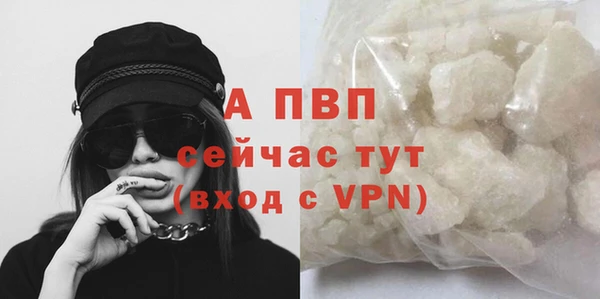 гашик Беломорск