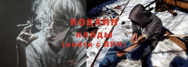гашик Белокуриха