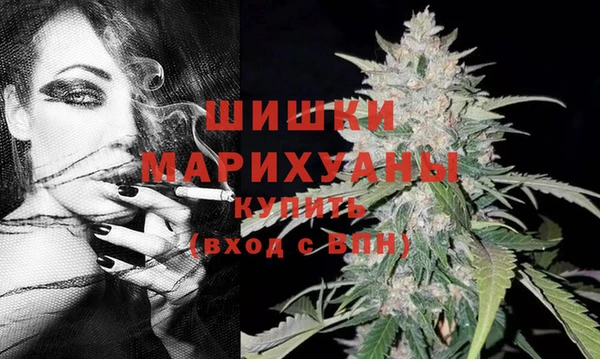 гашик Белокуриха