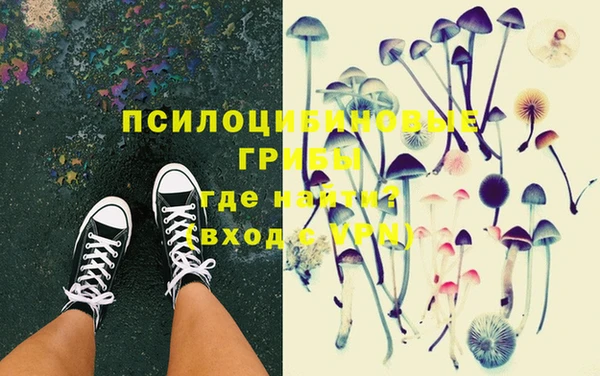 гашик Беломорск