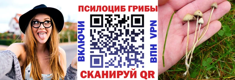 Галлюциногенные грибы MAGIC MUSHROOMS  mega ссылки  Луховицы 